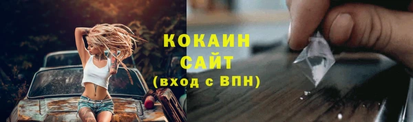 соль ск Михайлов