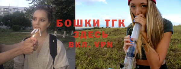 соль ск Михайлов